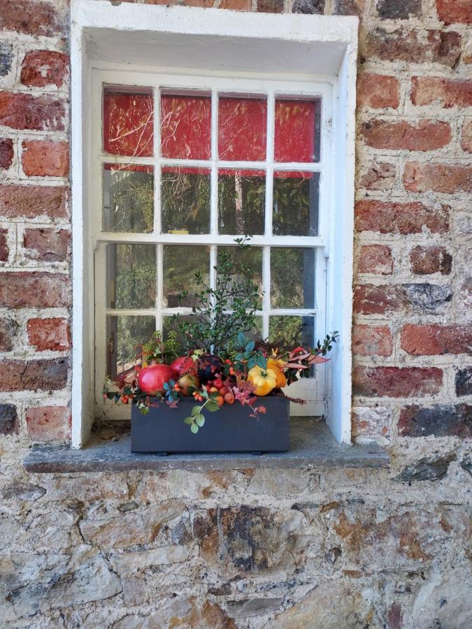 Lynam Cottage Ashford 外观 照片