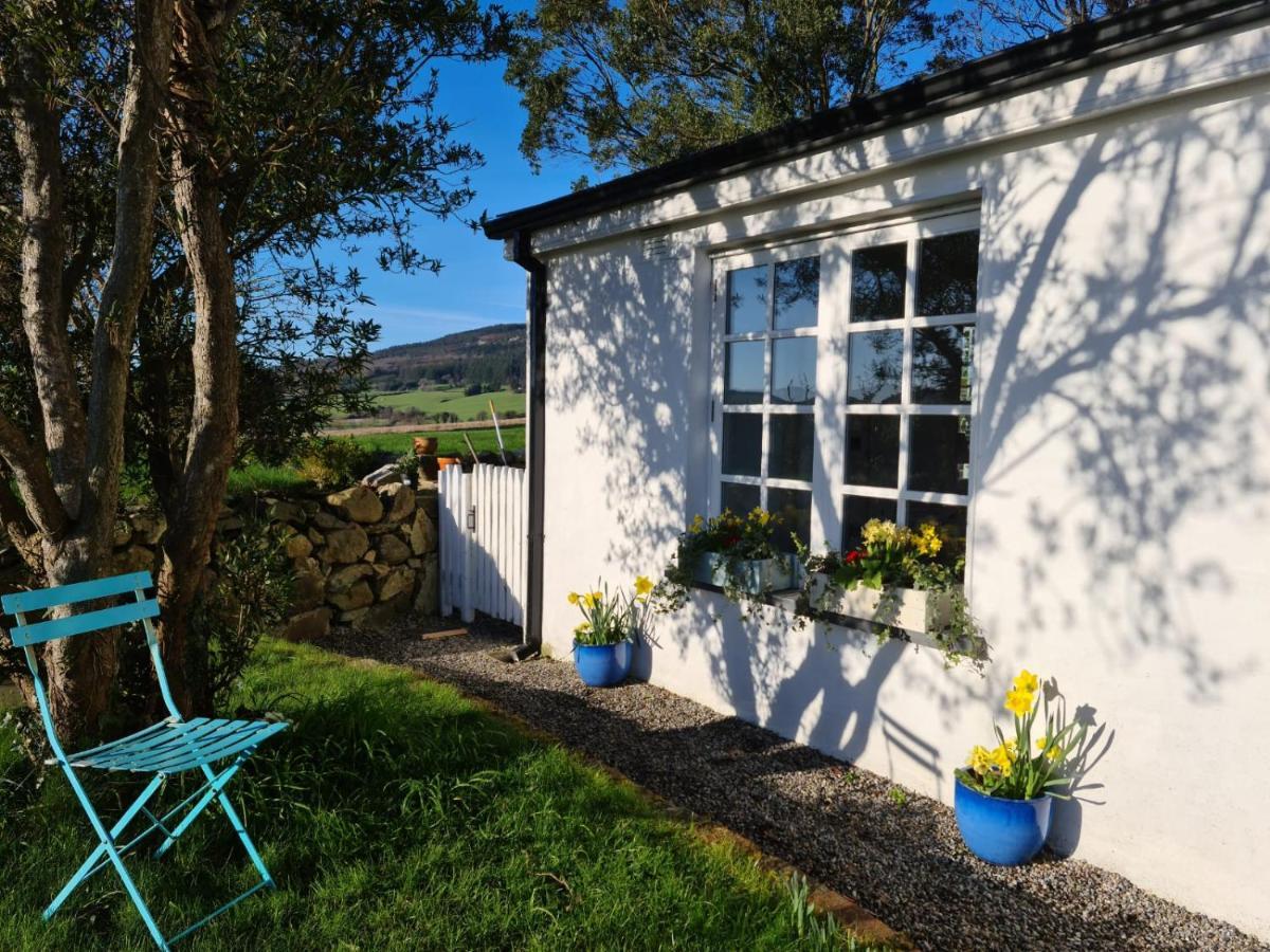 Lynam Cottage Ashford 外观 照片